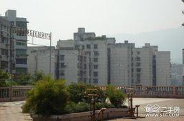 北碚文星灣 北碚文星灣