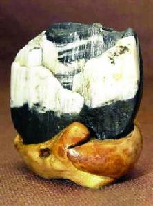 三峽石“雪域風光”