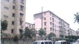 泰山小區 泰山小區