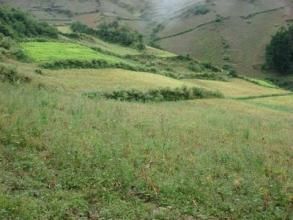 慶卓自然村 慶卓自然村