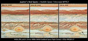 08年6遭遇長圓BA 底、紅斑 頂和 紅斑