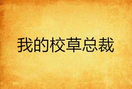 我的校草總裁 我的校草總裁