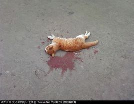 慘無人道[手遊]