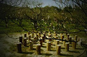 香雪海[江蘇蘇州景點]