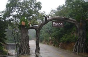 夢幻情人谷 夢幻情人谷