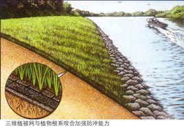 高強度土工網 高強度土工網