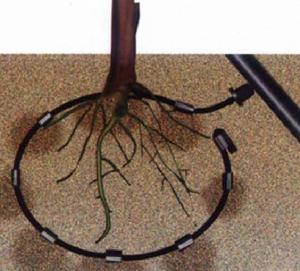 小管出流 小管出流