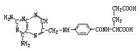 氨基蝶呤 氨基蝶呤