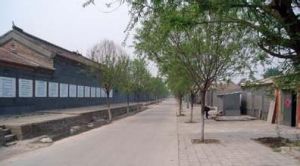 辛店子村 辛店子村