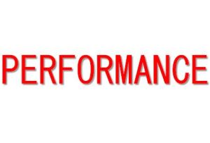 PERFORMANCE