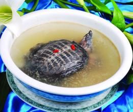 酒燉甲魚 酒燉甲魚