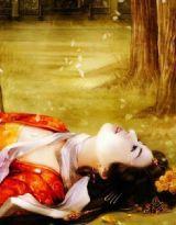 蒹葭蒼蒼,白露為霜 蒹葭蒼蒼,白露為霜