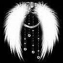 求源溯本 求源溯本