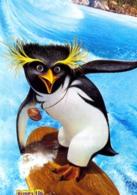 衝浪季節[美國動畫喜劇片]