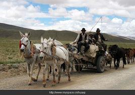 收莊稼的載重馬車 收莊稼的載重馬車