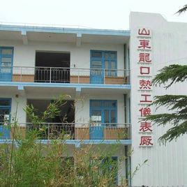 山東龍口熱工儀表廠 山東龍口熱工儀表廠