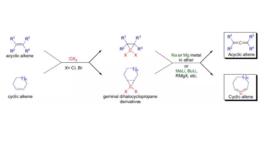 Doering-laflamme丙二烯合成 Doering-laflamme丙二烯合成