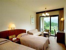 大箱根王子大酒店 大箱根王子大酒店