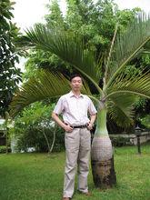 海南師範大學張一平教授