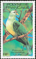 灰綠果鳩