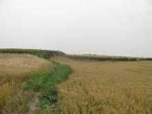 河南省鄧州市穰東鎮太子崗