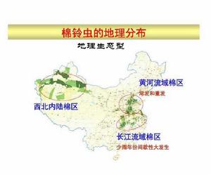 地理生態型 地理生態型