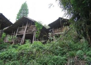 周公山國家森林公園 周公山國家森林公園