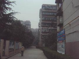 市政府小區 市政府小區