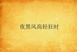 夜黑風高輕狂時 夜黑風高輕狂時