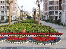 21世紀。現代城