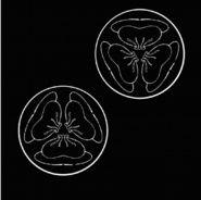 他眼裡有霧 他眼裡有霧