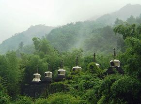 黃公望森林公園 黃公望森林公園