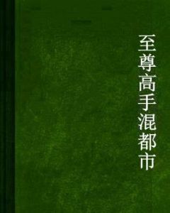 至尊高手混都市 至尊高手混都市
