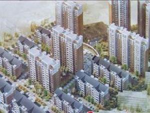 嘉興鳳凰花苑 嘉興鳳凰花苑