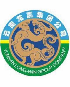 龍贏集團 龍贏集團