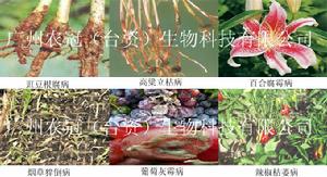 木黴菌生物農藥圖片