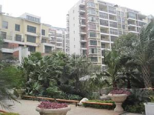 合通巴比倫 合通巴比倫