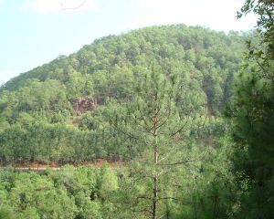 臘馬河自然村 臘馬河自然村