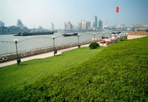 上海濱江大道