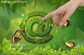 綠色網路 綠色網路