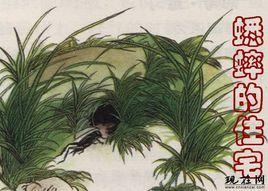 蟋蟀的住宅 蟋蟀的住宅