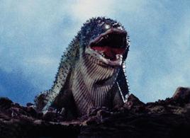 加瑪庫基拉 加瑪庫基拉