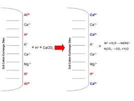 土壤潛性酸 土壤潛性酸
