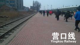 營口支線 營口支線