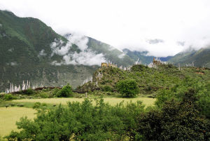 《一年有四季》 《一年有四季》