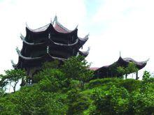 和平鎮金蟾禮斗