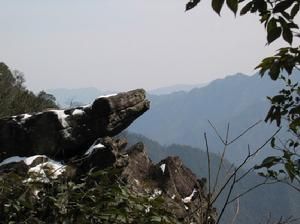 三爪侖森林公園 三爪侖森林公園