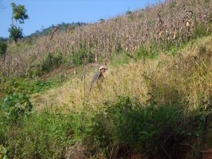 南果河一隊村 南果河一隊村