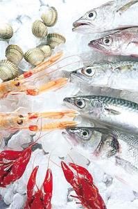 微型冷庫 微型冷庫