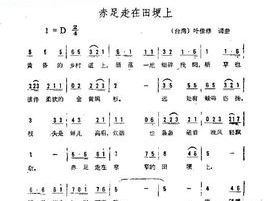 赤足走在田埂上 赤足走在田埂上